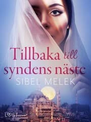 Cover von Tillbaka till syndens näste - erotisk novell