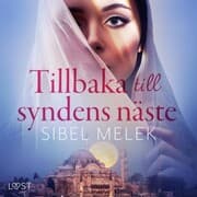 Cover von Tillbaka till syndens näste - erotisk novell