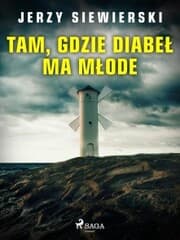 Cover von Tam, gdzie diabe¿ ma m¿ode