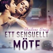 Cover von Ett sensuellt möte - erotisk novell