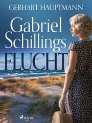 Cover von Gabriel Schillings Flucht