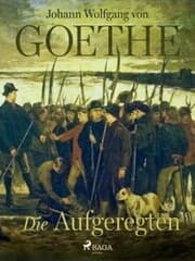 Cover von Die Aufgeregten
