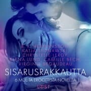 Cover von Sisarusrakkautta ja 6 muuta eroottista novellia