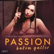 Cover von Passion bakom galler: 12 erotiska noveller om att bryta lagen