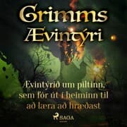 Cover von Ævintýrið um piltinn, sem fór út í heiminn til að læra að hræðast