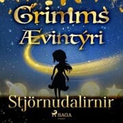 Cover von Stjörnudalirnir