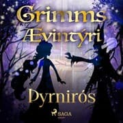 Cover von Þyrnirós