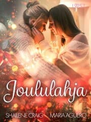 Cover von Joululahja - eroottinen novelli