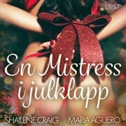 Cover von En Mistress i julklapp - BDSM erotik
