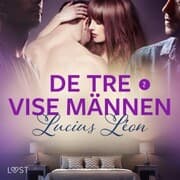 Cover von De tre vise männen 2 - BDSM erotik