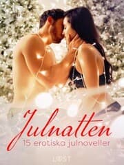 Cover von Julnatten - 15 erotiska julnoveller