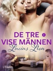 Cover von De tre vise männen 3 - BDSM erotik