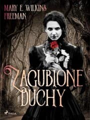 Cover von Zagubione duchy