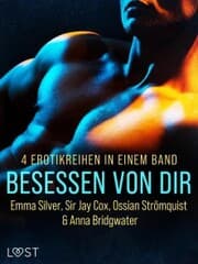 Cover von Besessen von dir: 4 Erotikreihen in einem Band