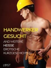 Cover von Handwerker gesucht and weitere heiße erotische Kurzgeschichten