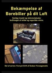 Cover von Bekæmpelse af Borebiller på dit Loft