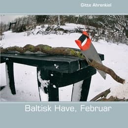 Cover von Baltisk Have, Februar
