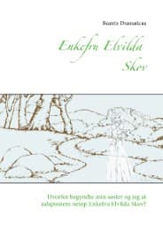 Cover von Enkefru Elvilda Skov