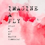 Cover von Imagine a fly