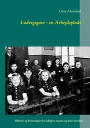 Cover von Ludvigsgave - en Arbejdsplads