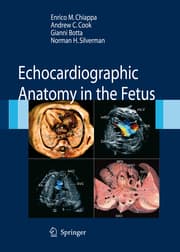 Cover von Echocardiographic Anatomy in the Fetus