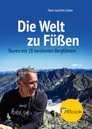 Cover von Die Welt zu Füßen