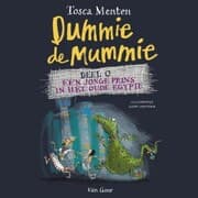 Cover von Dummie de mummie deel 0