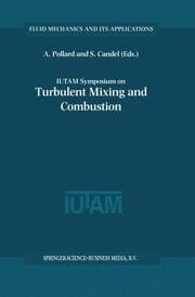 Cover von IUTAM Symposium on Turbulent Mixing and Combustion