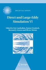 Cover von Direct and Large-Eddy Simulation VI