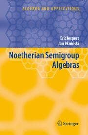 Cover von Noetherian Semigroup Algebras