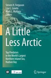 Cover von A Little Less Arctic