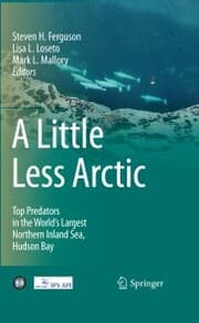 Cover von A Little Less Arctic