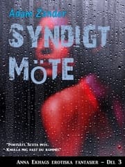 Cover von Syndigt Möte