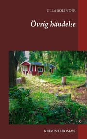 Cover von Övrig händelse