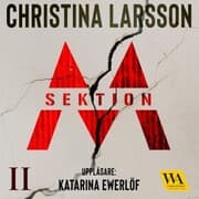 Cover von Sektion M II