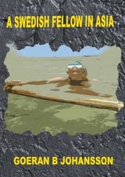 Cover von A Swedish Fellow in Asia