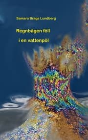 Cover von Regnbågen föll i en vattenpöl
