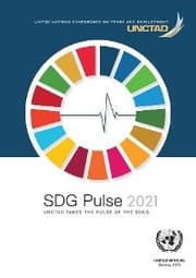 Cover von SDG Pulse 2021