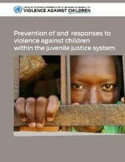 Cover von Prevention of and Responses to Violence Against Children Within the Juvenile Justice System