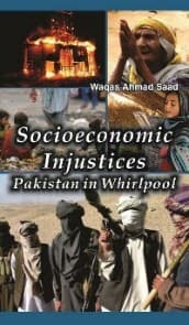 Cover von Socioeconomic Injustices