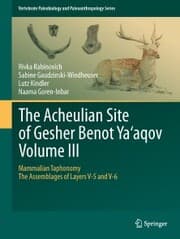 Cover von The Acheulian Site of Gesher Benot Ya'aqov Volume III