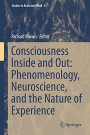 Cover von Consciousness Inside and Out: Phenomenology, Neuroscience, and the Nature of Experience