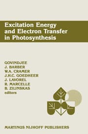 Cover von Excitation Energy and Electron Transfer in Photosynthesis