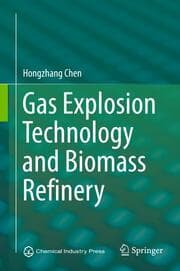 Cover von Gas Explosion Technology and Biomass Refinery