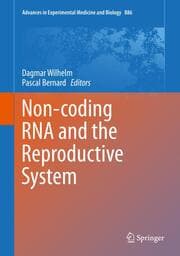 Cover von Non-coding RNA and the Reproductive System