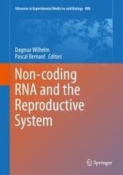Cover von Non-coding RNA and the Reproductive System
