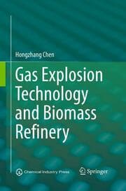 Cover von Gas Explosion Technology and Biomass Refinery