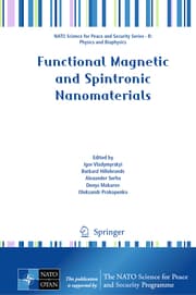 Cover von Functional Magnetic and Spintronic Nanomaterials