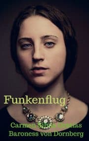 Cover von Funkenflug