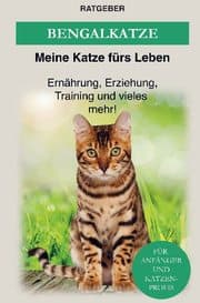 Cover von Bengalkatze